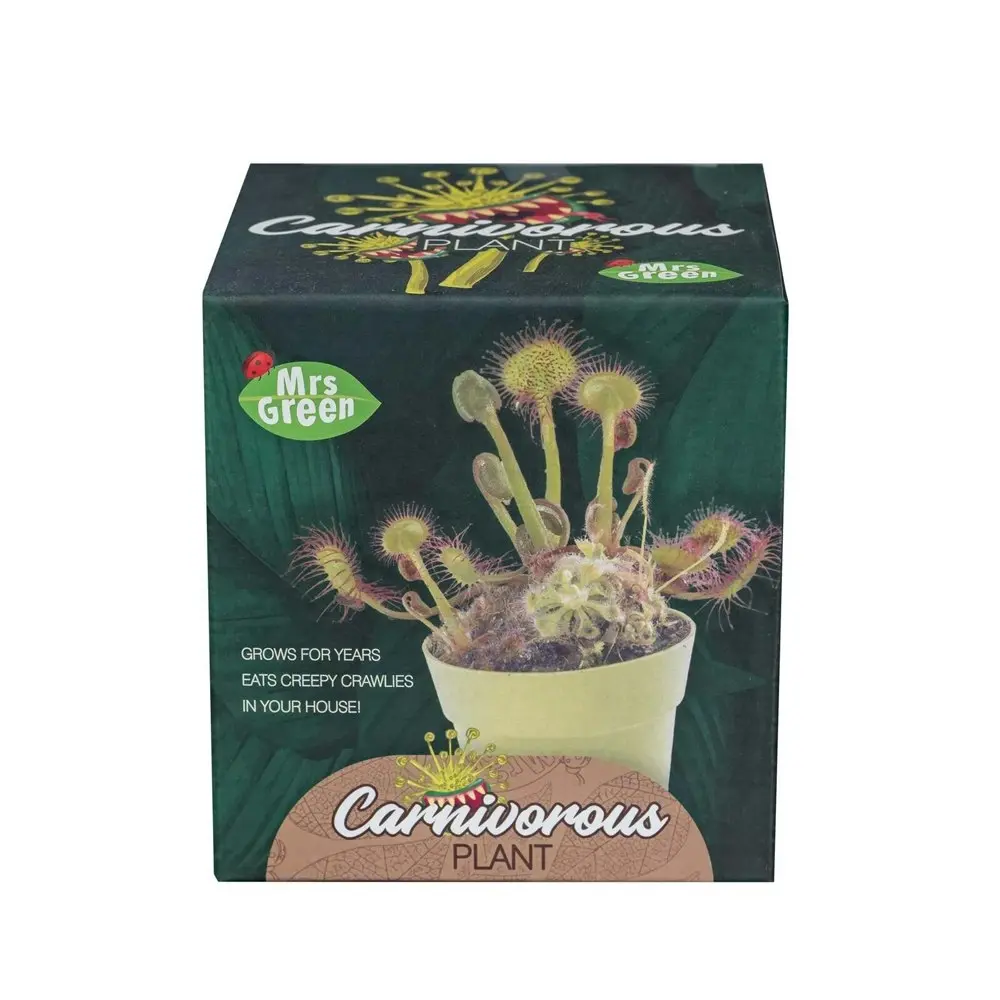 2x Mrs Green Grow Your Own Carnivorous Plant Kids/Children Activity Growing Kit