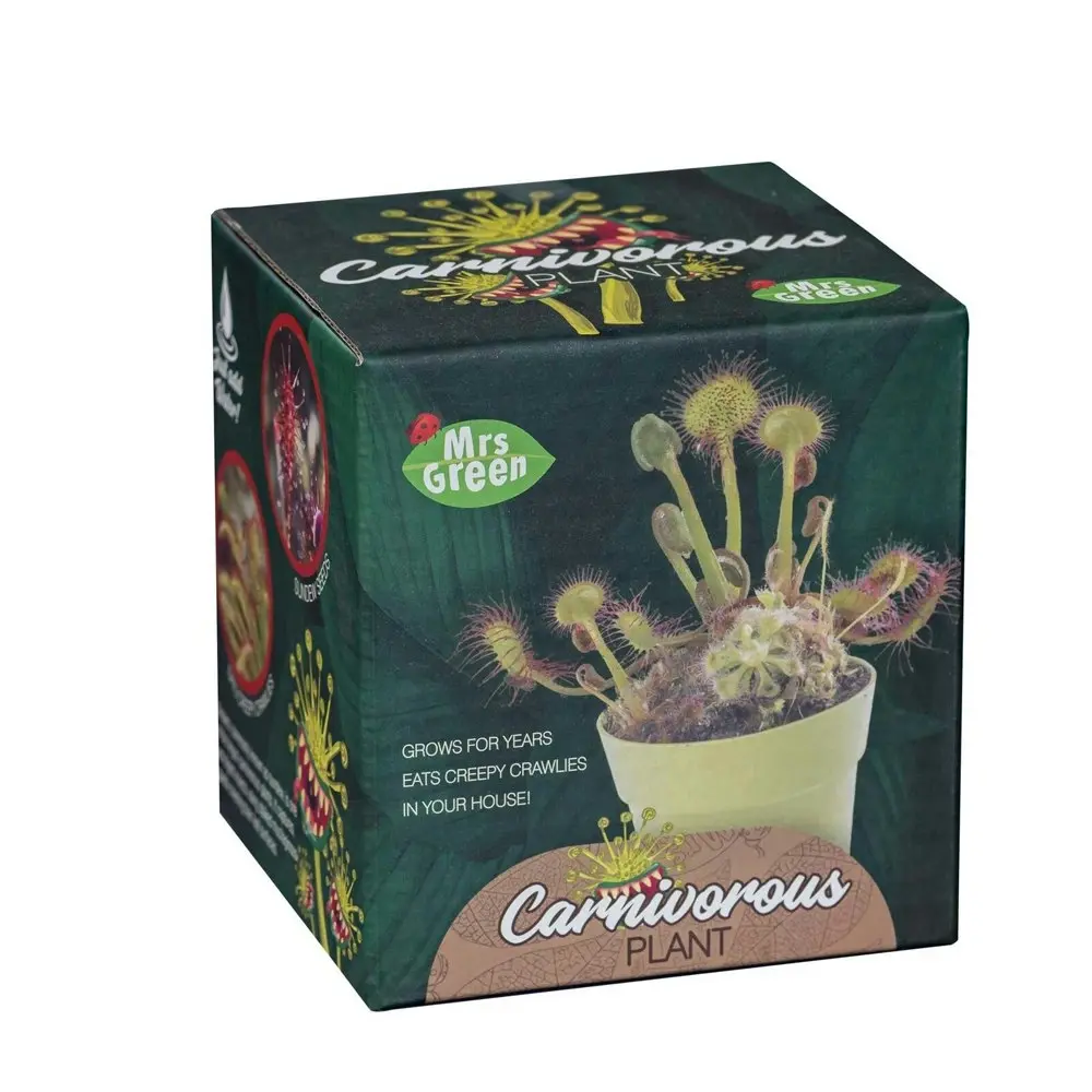 2x Mrs Green Grow Your Own Carnivorous Plant Kids/Children Activity Growing Kit