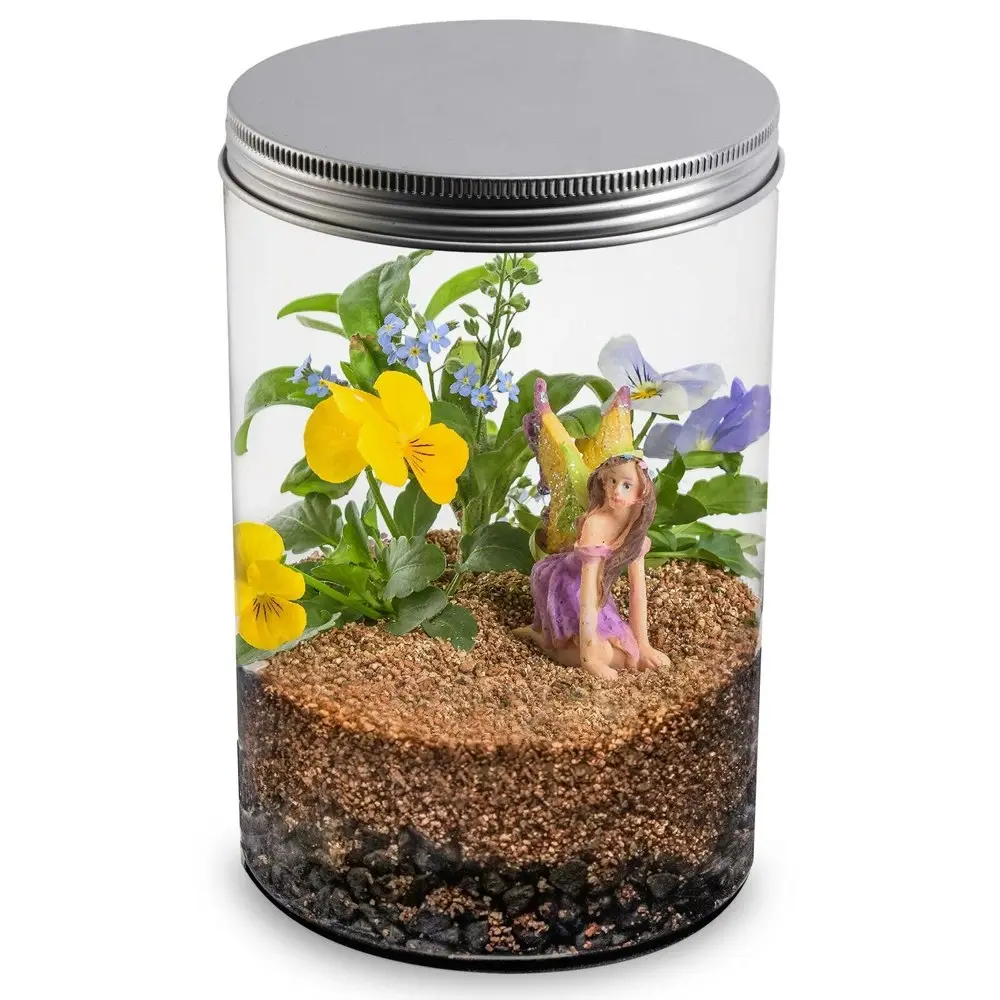 Mrs Green Flower Fairy Terrarium Plant Growing Kids/Family Indoor Gardening Kit