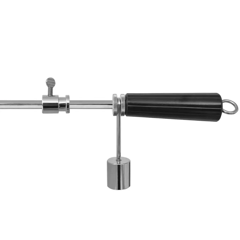 BBQ Rotisserie Spit with Motor Steel 1000 mm 42247