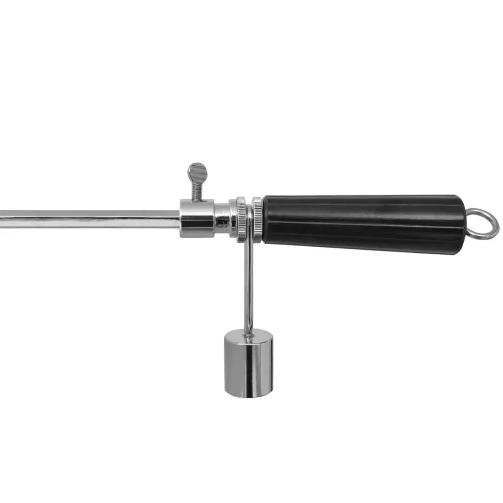 BBQ Rotisserie Spit with Professional Motor Steel 900 mm 42244