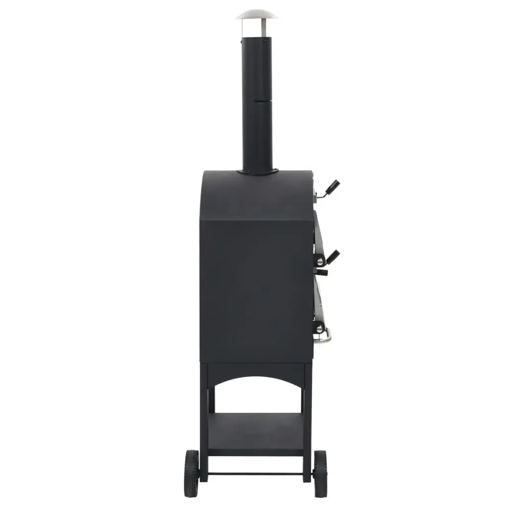 Charcoal Fired Outdoor Pizza Oven with Fireclay Stone 44279