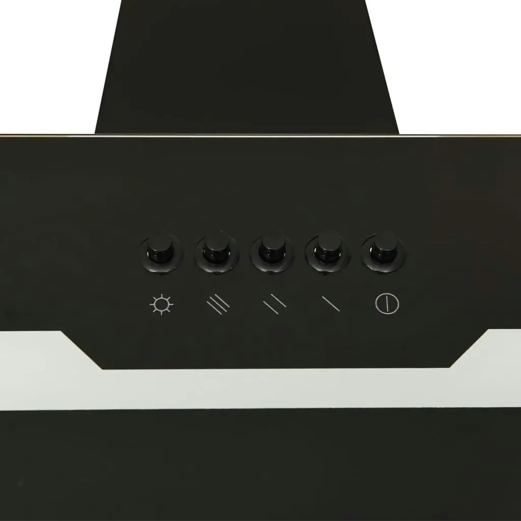 Wall Range Hood 60 cm Steel and Tempered Glass Black 51667