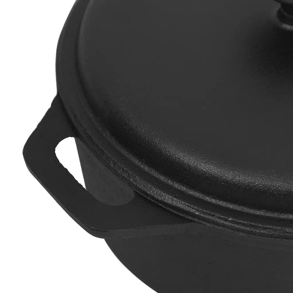 Pot ??26.5 cm Cast Iron 313362