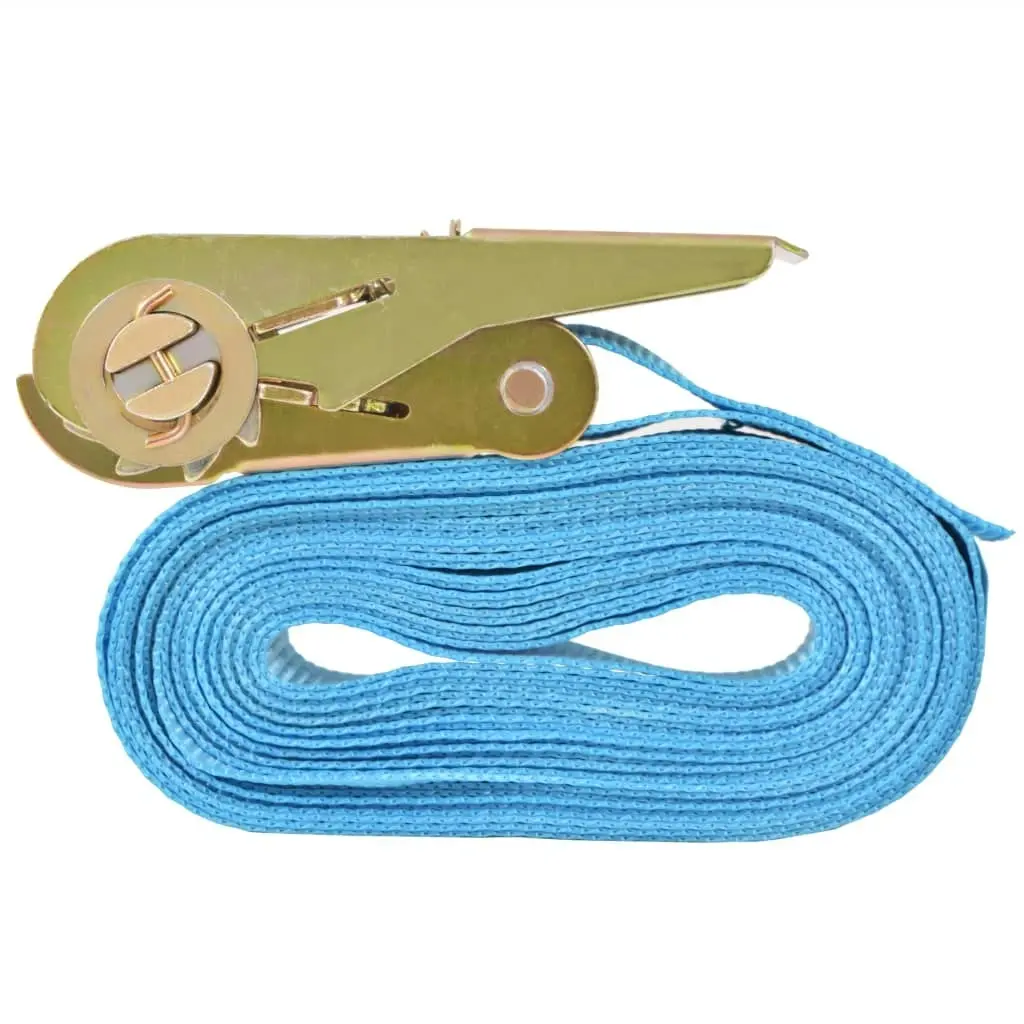 Ratchet Tie Down Straps 10 pcs 0.8 Tonnes 4mx25mm Blue 142653