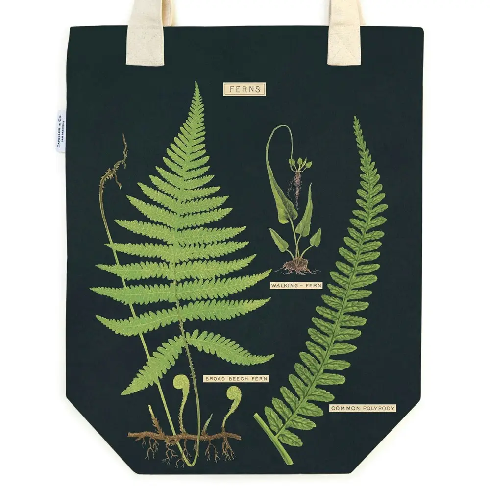 Cavallini Cotton Tote Bag Travel/Shopping Carry All Handbag 33x40cm Ferns