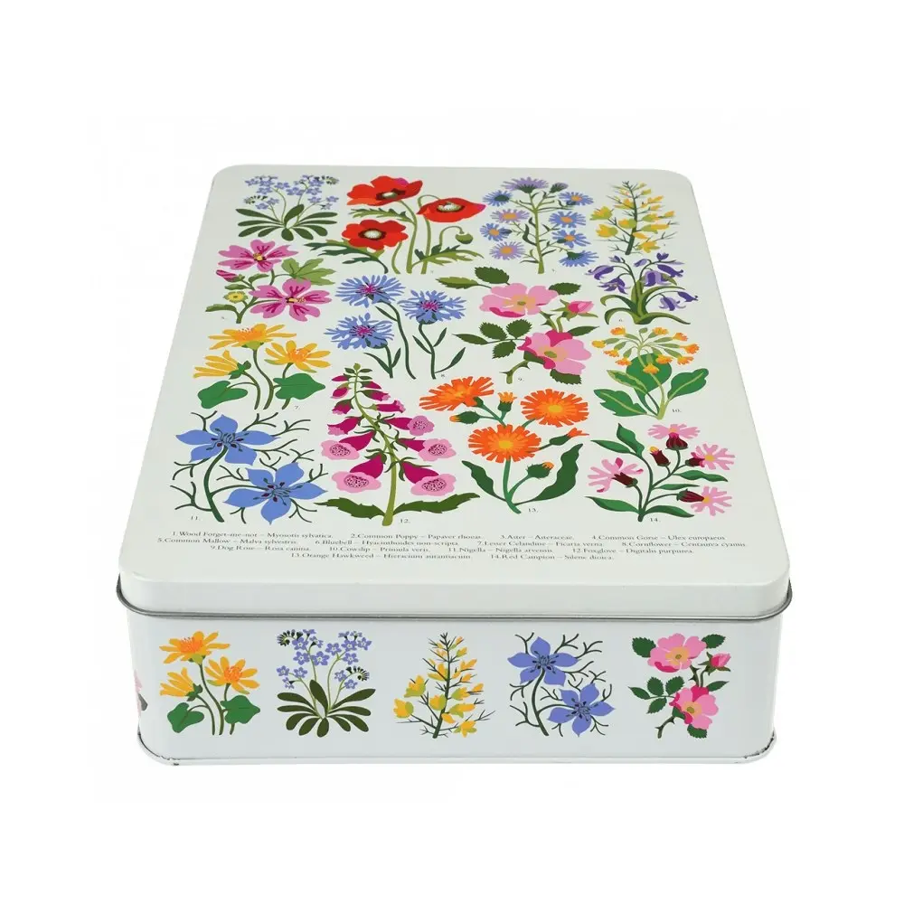 4x Rex London Biscuit Tin Kitchen Food Storage Can 19x27cm Rect Wild Flowers