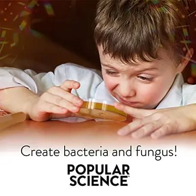 Popular Science Microbiology Lab Kit