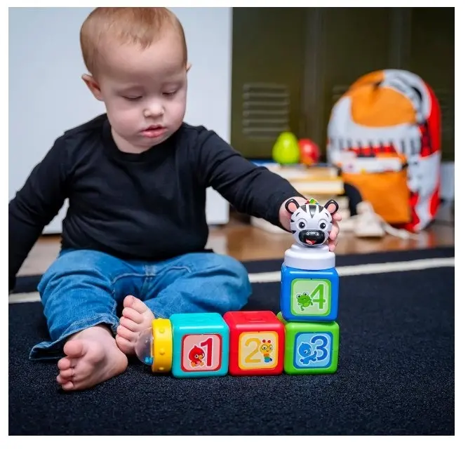 Baby Einstein Add & Stack Magnetic Blocks