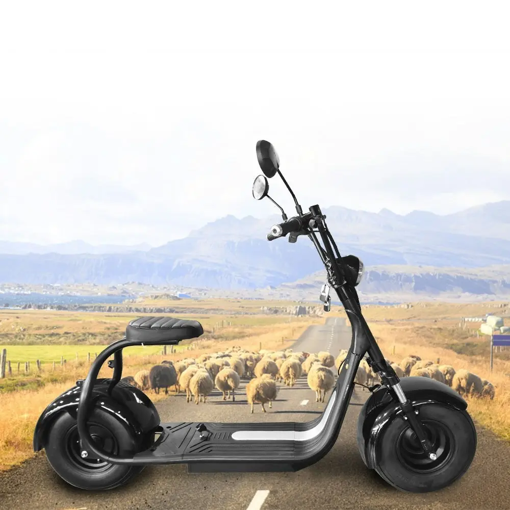 GLIDER 1500W Electric Scooter SMD201 ¡§C Motorized Adult Ride with Large Wheels ¡§C Black