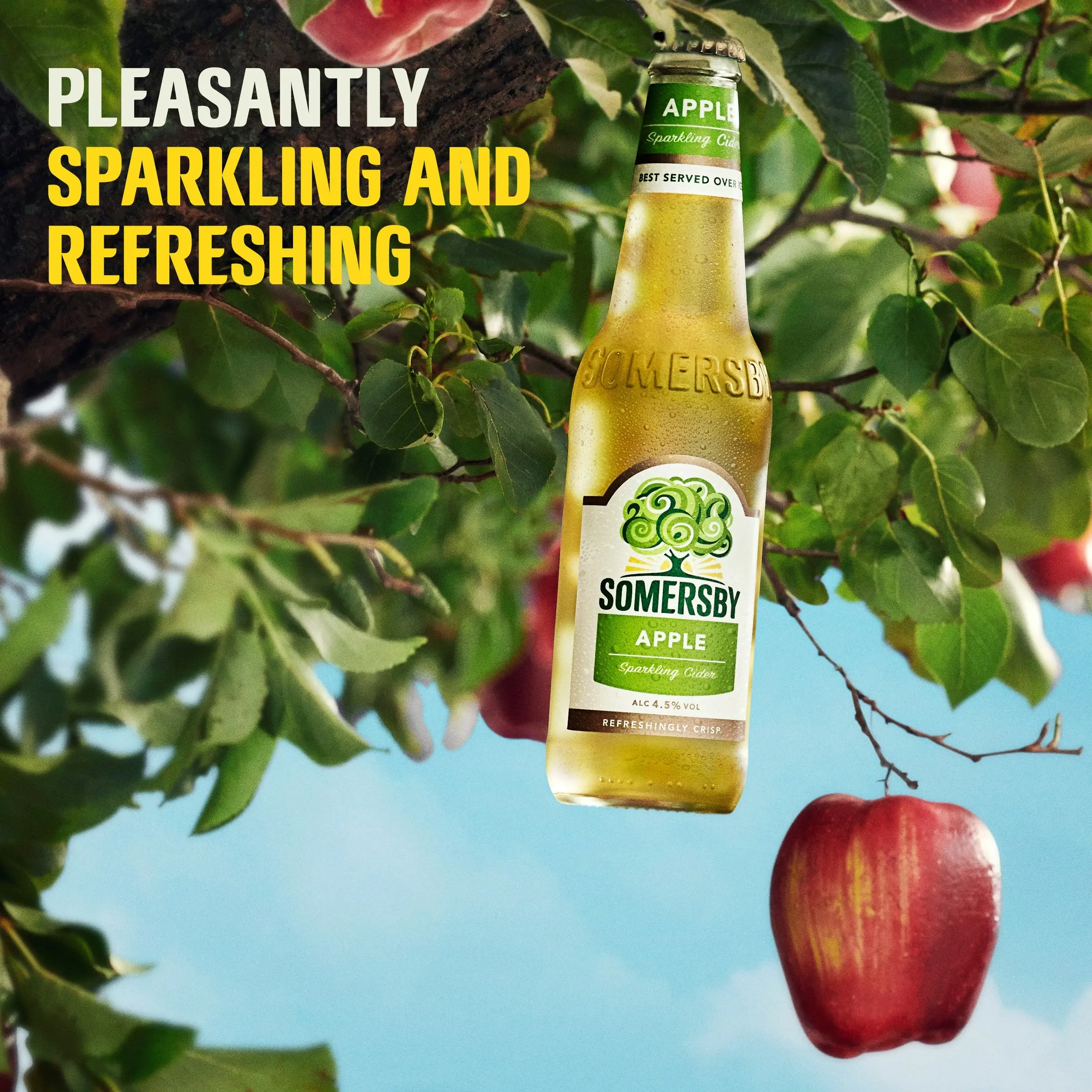 Somersby Apple 24 Pack 330mL