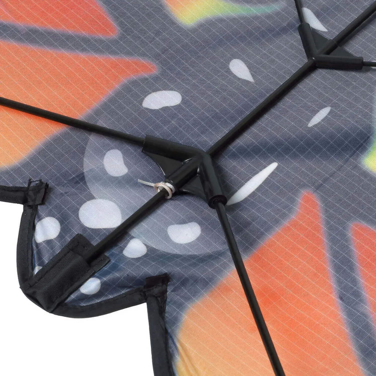 Brookite - Giant Butterfly Kite