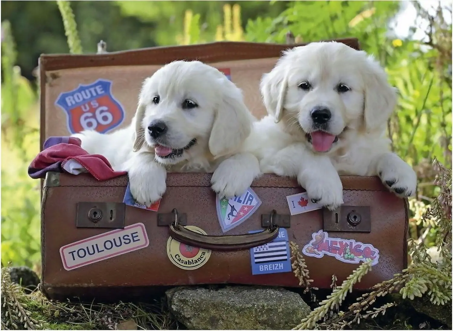 Ravensburger - Travelling Puppies Jigsaw Puzzle 100 Pieces