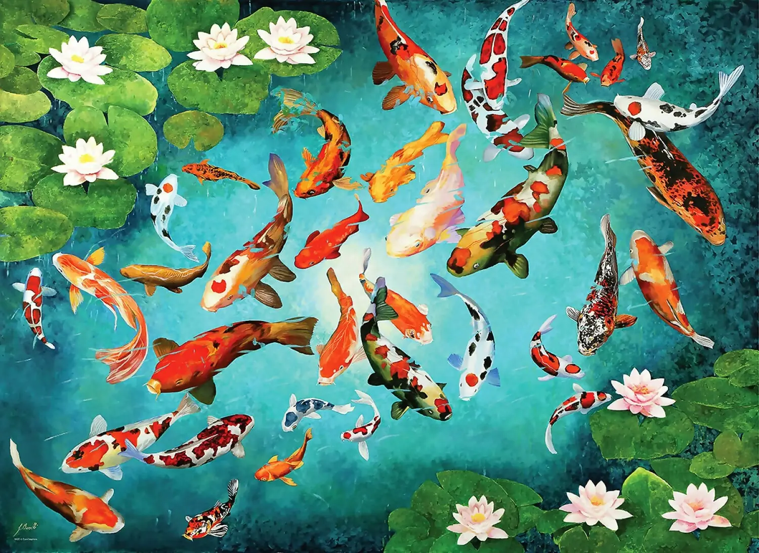 Eurographics - Koi Fish - Jigsaw Puzzle 1000 Pieces