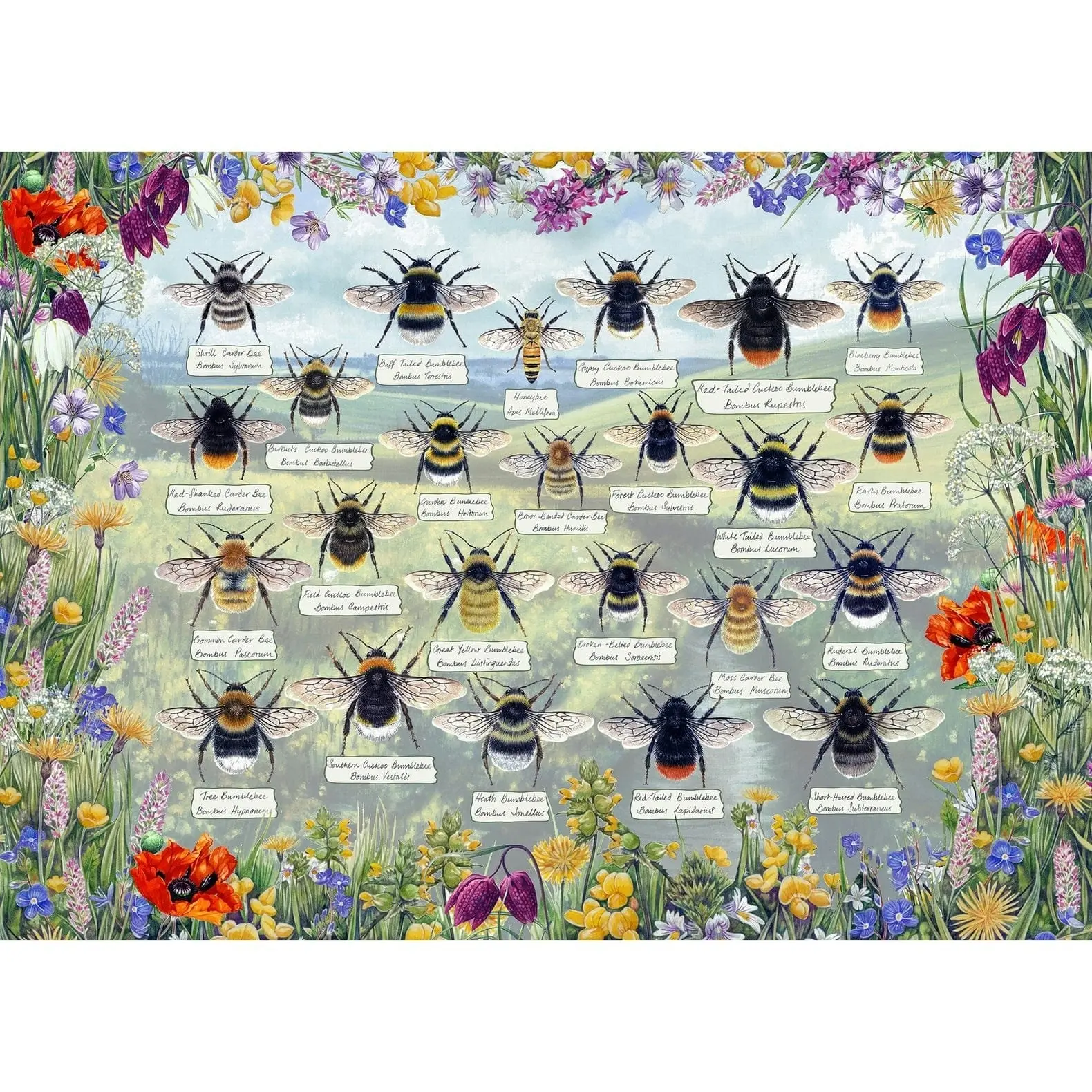 Gibsons - Brilliant Bees - Jigsaw Puzzle 1000 Pieces