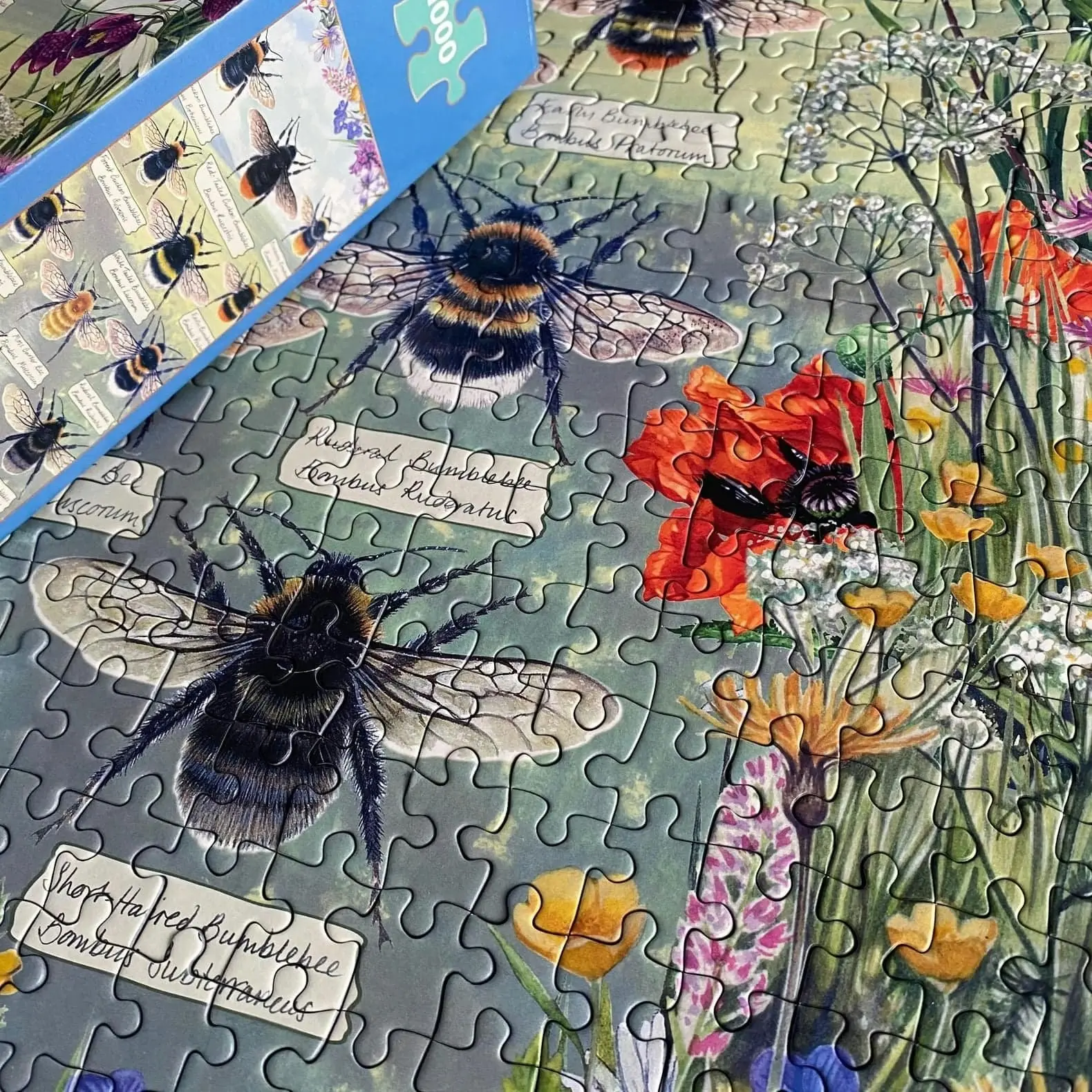 Gibsons - Brilliant Bees - Jigsaw Puzzle 1000 Pieces