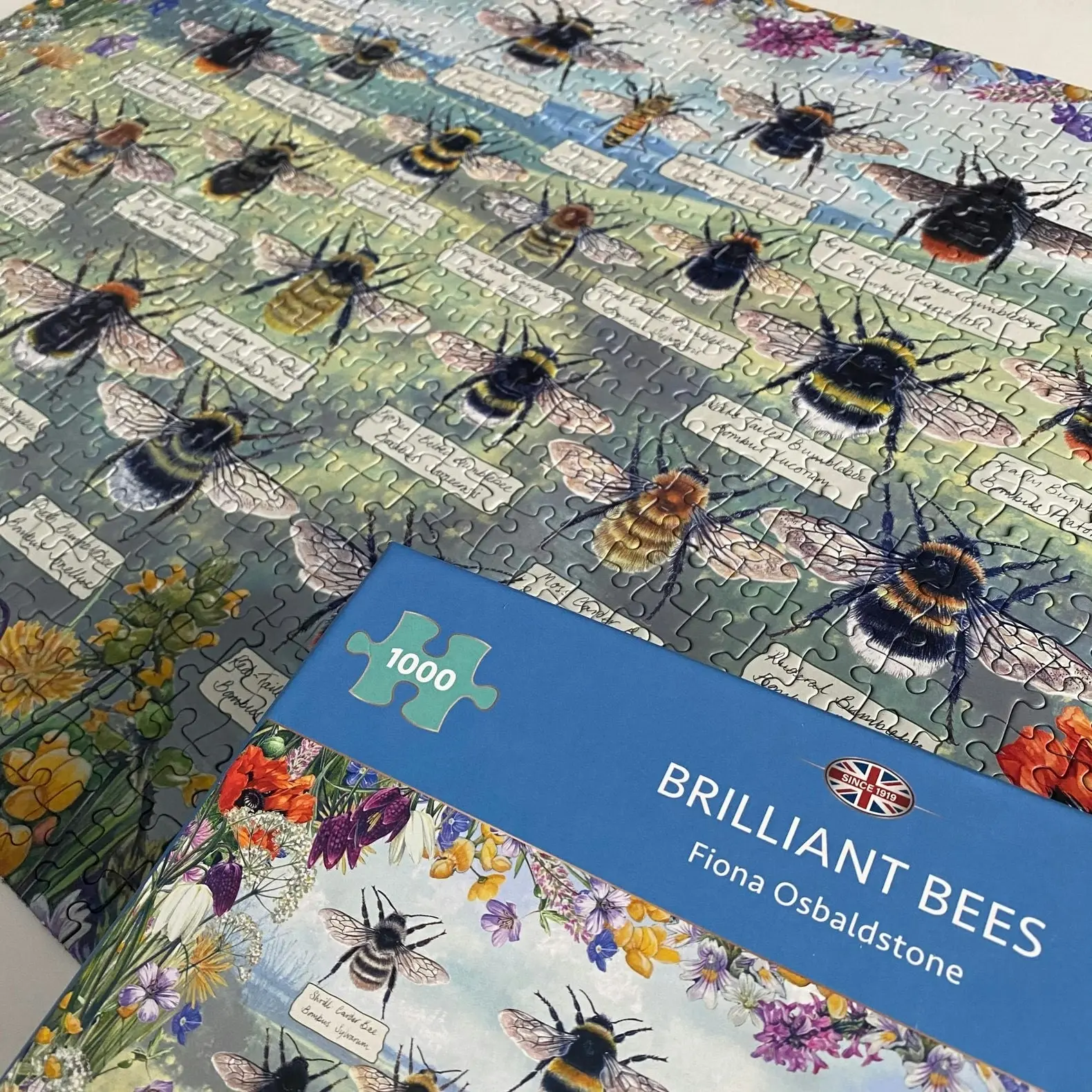 Gibsons - Brilliant Bees - Jigsaw Puzzle 1000 Pieces