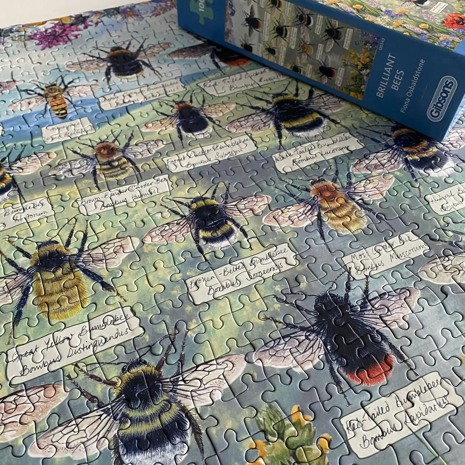 Gibsons - Brilliant Bees - Jigsaw Puzzle 1000 Pieces