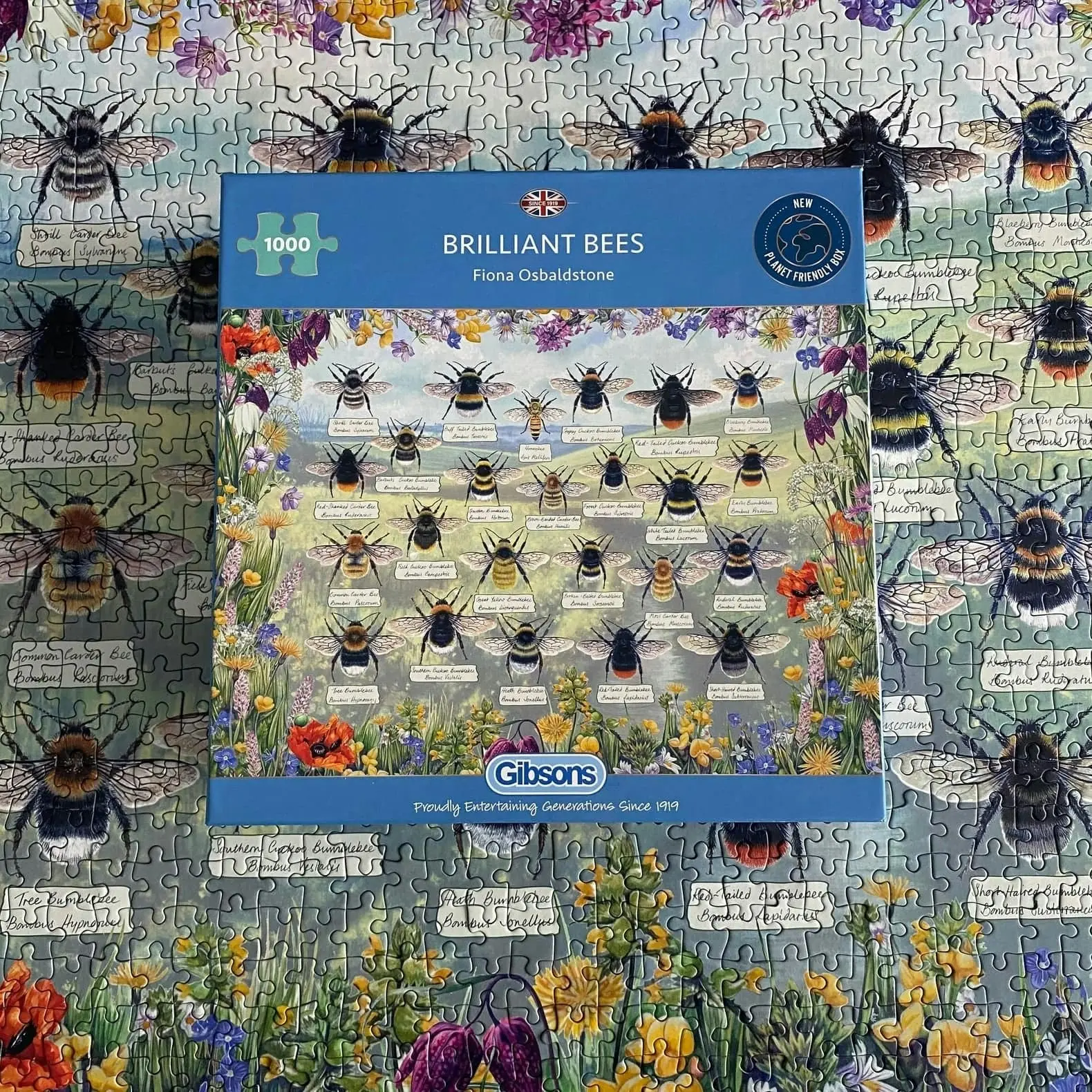 Gibsons - Brilliant Bees - Jigsaw Puzzle 1000 Pieces