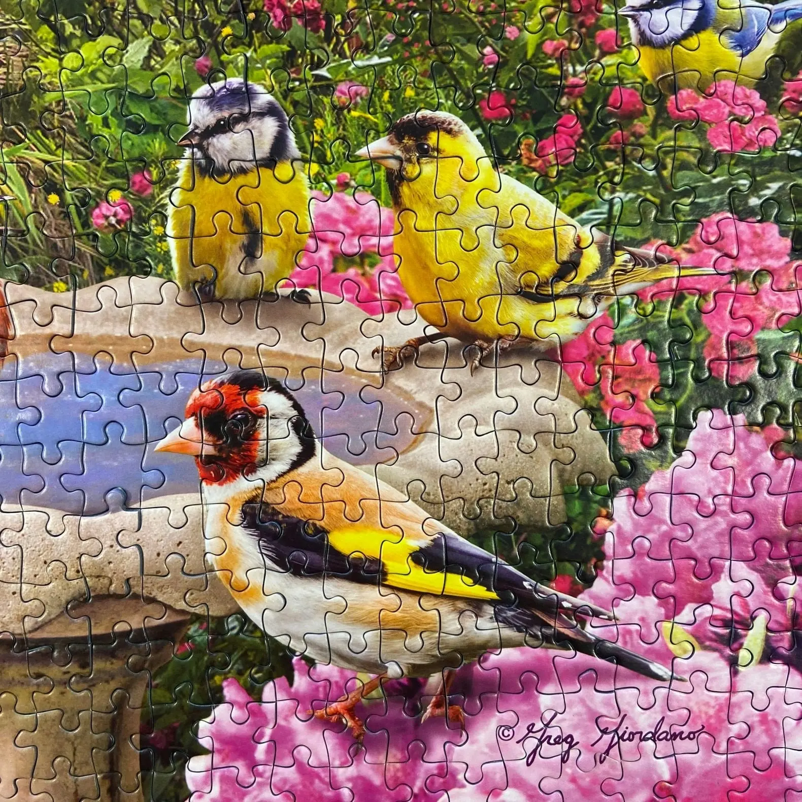 Gibsons - Birdsong By The Stream - Jigsaw Puzzle 1000 Pieces