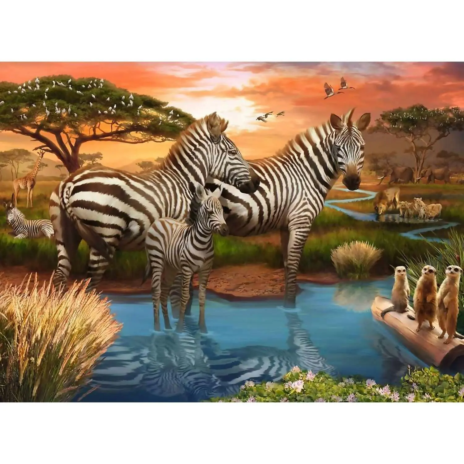 Ravensburger - Zebra Jigsaw Puzzle 500 Pieces