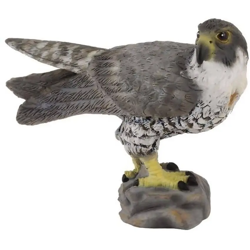 Collecta - Peregrine Falcon Bird Small Figurine