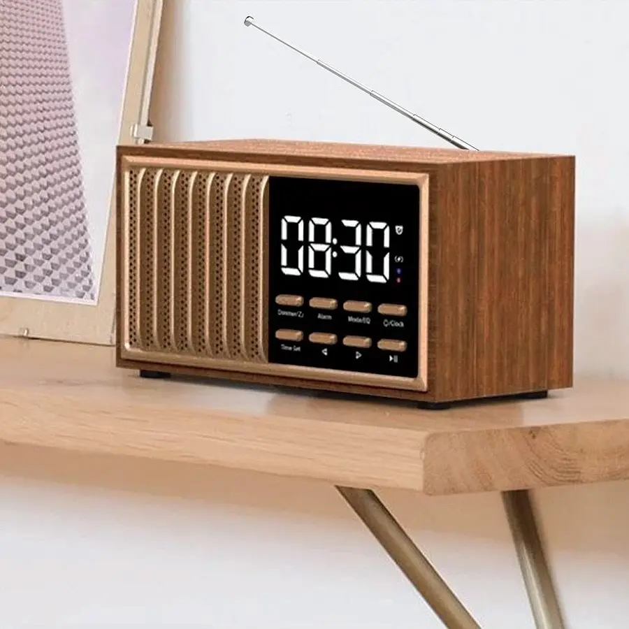 FM Radio Alarm Clock and Charger