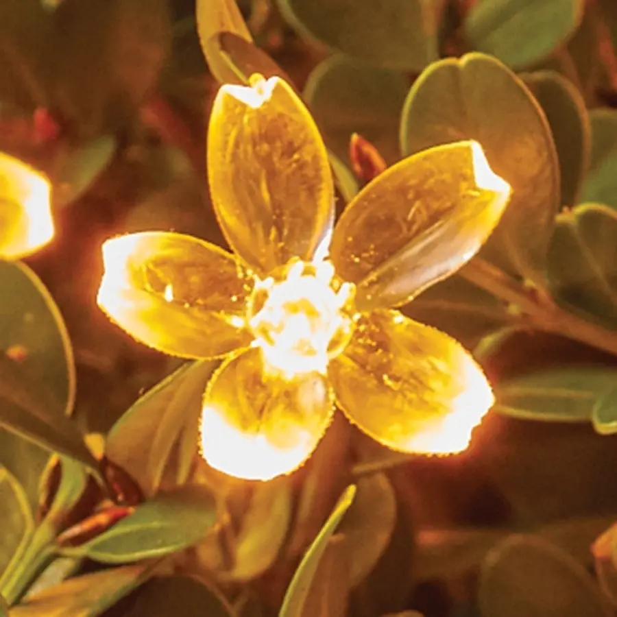 Cherry Blossom Solar LEDs