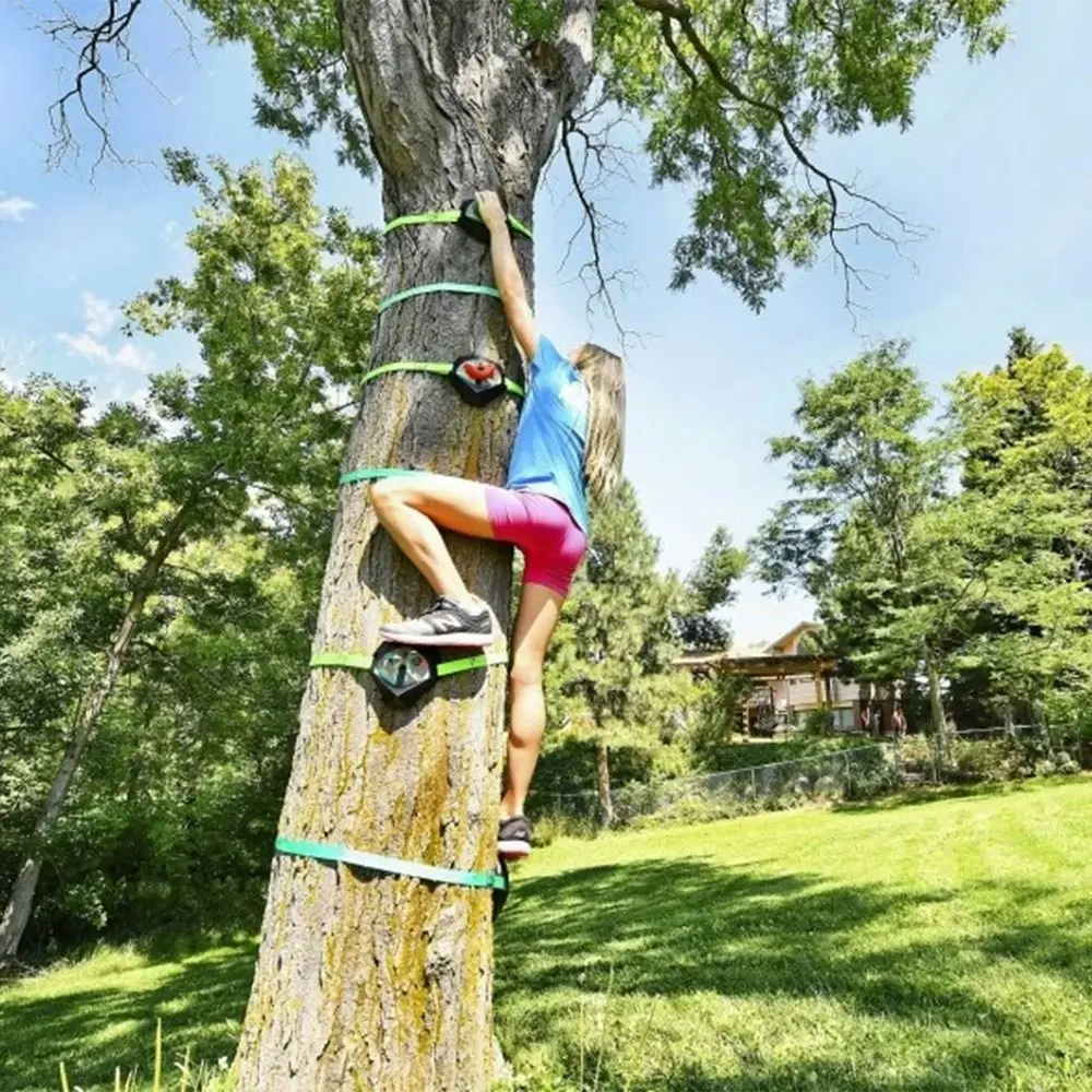 Slackers Tree Climbers