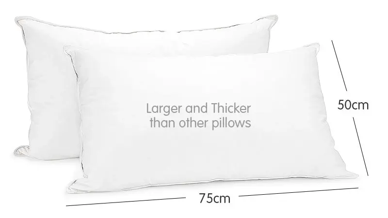 Duck Down Feather Pillow Twin Set - 1.3kg