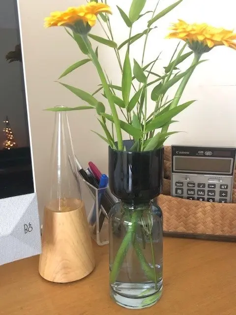 Zohi Interiors M&M Range: Ombre Glass Vase