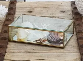 Zohi Interiors Brass & Glass Display Box - Medium