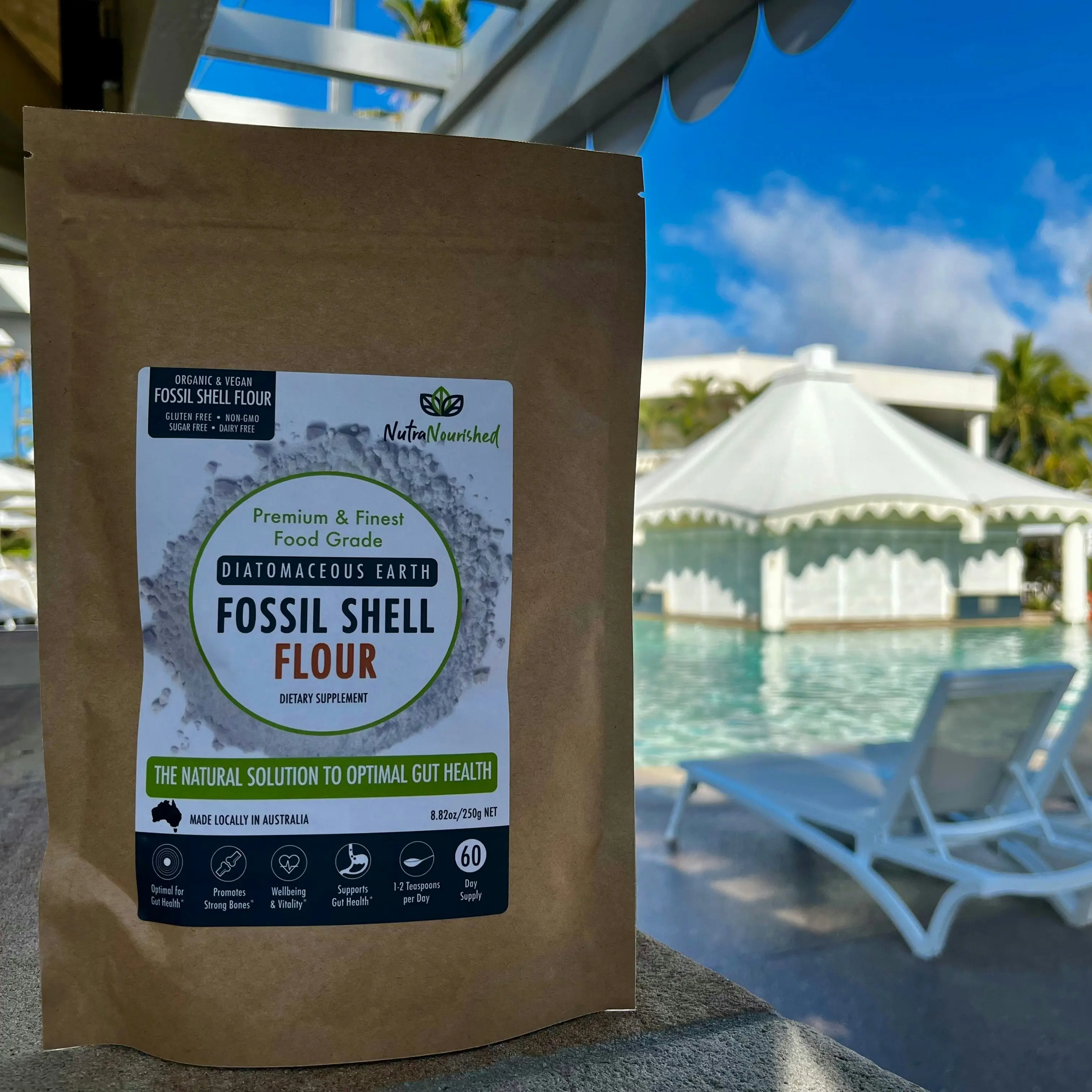 Fossil Shell Flour Powder - Food Grade Diatomaceous Earth - 250g bag