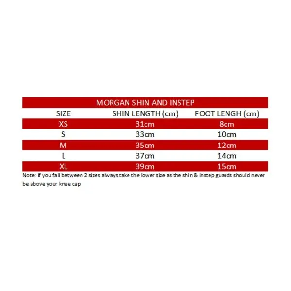 Morgan V2 Professional Mma Shin And Instep