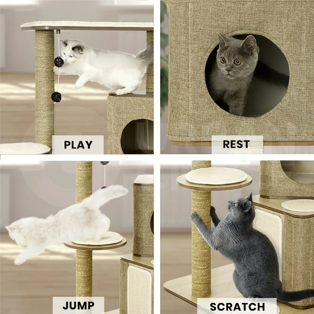 Taily Cat Tree Scratcher Scratching Post Cats Playhouse Condo Furniture Toys Wooden Cubox Cat House