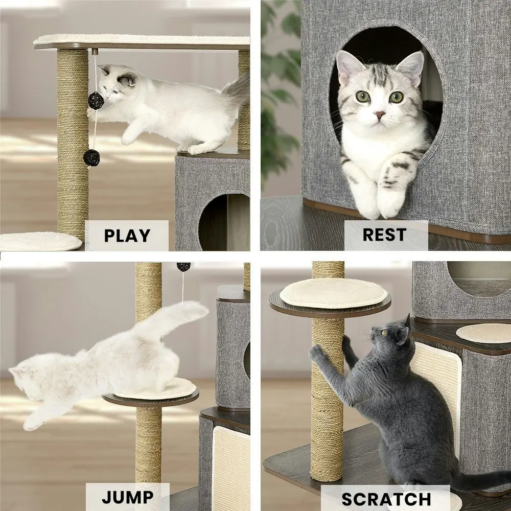 Taily Cat Tree Scratcher Cats Scratching Post Playhouse Condo Furniture Toys Wooden Cubox Cat House