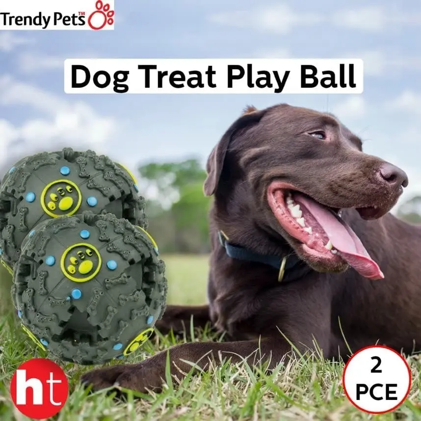 Trendypet Dog Treat Play Ball 2Pce 10Cm Size Vinyl Clear Sound Durable Vinyl Fun Exercise