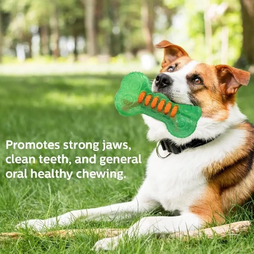 Trendypets Super Tough Dog Play Toy Healthy Chew Bone 14Cm 3Pce Durable Prevent Gum Disease