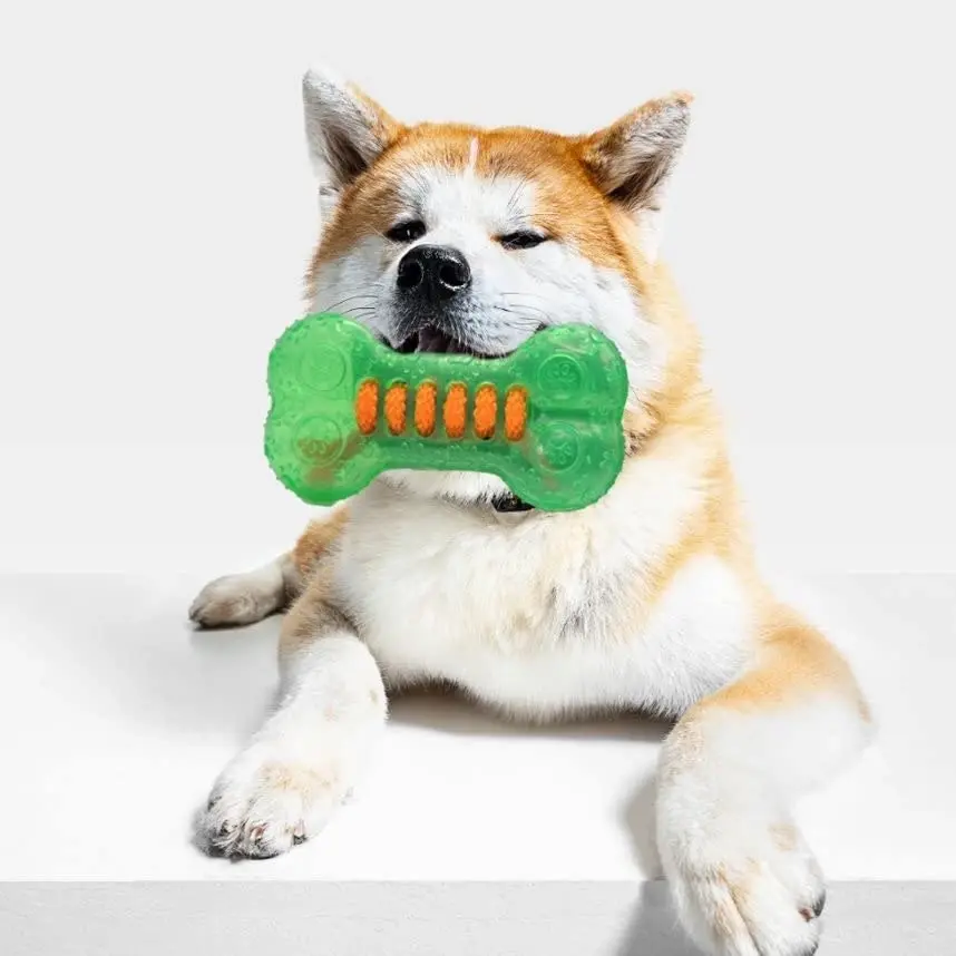 Trendypets Super Tough Dog Play Toy Healthy Chew Bone 14Cm 3Pce Durable Prevent Gum Disease