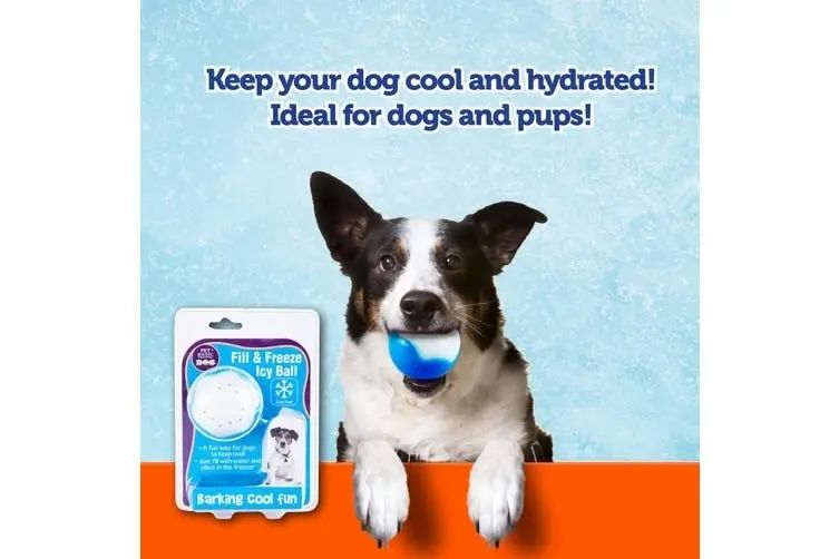 Pet Basic 230822-2PK Dog Toy Icy Ball with Cool Gel 6cm