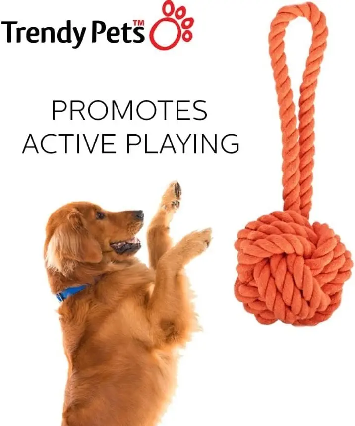 Trendypets Chew -It Knotted Ball Rope Toy 22Cm X 8Cm 3Pce Great For Keeping Gums Healthy