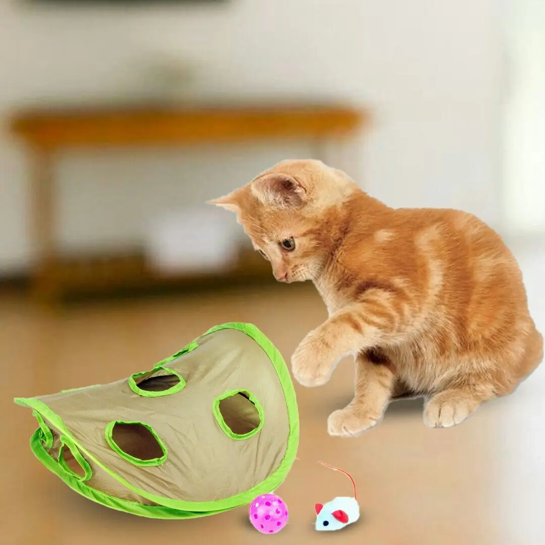 PaWise Multicolor Lightweight Hunting Time Cat Pet Toy 31Cm Mouse Hunt Fun Teasing Interact Cat Toy Cat Training Bite Catching