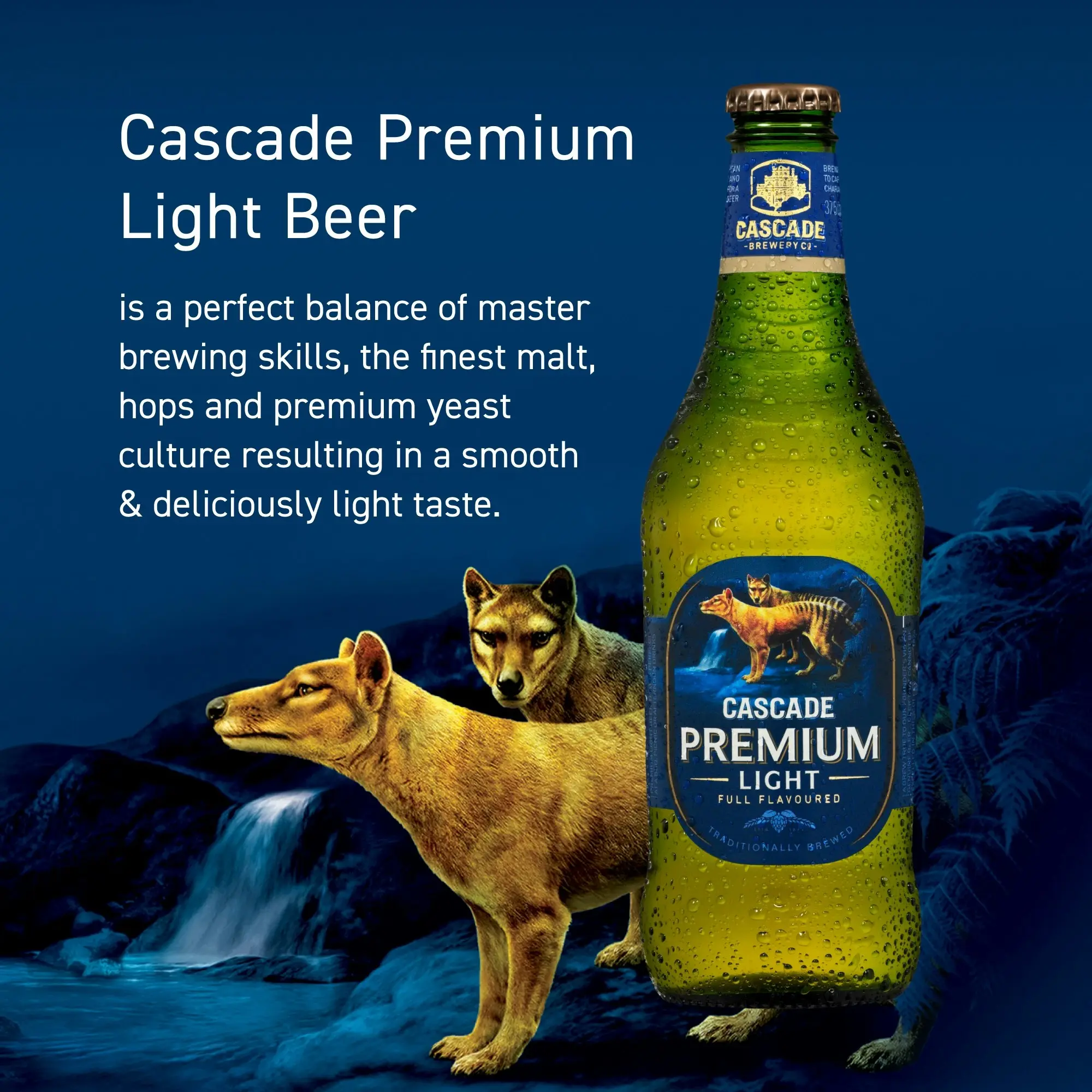 Cascade Premium Light Beer Case 24 x 375mL Bottles 2.4%