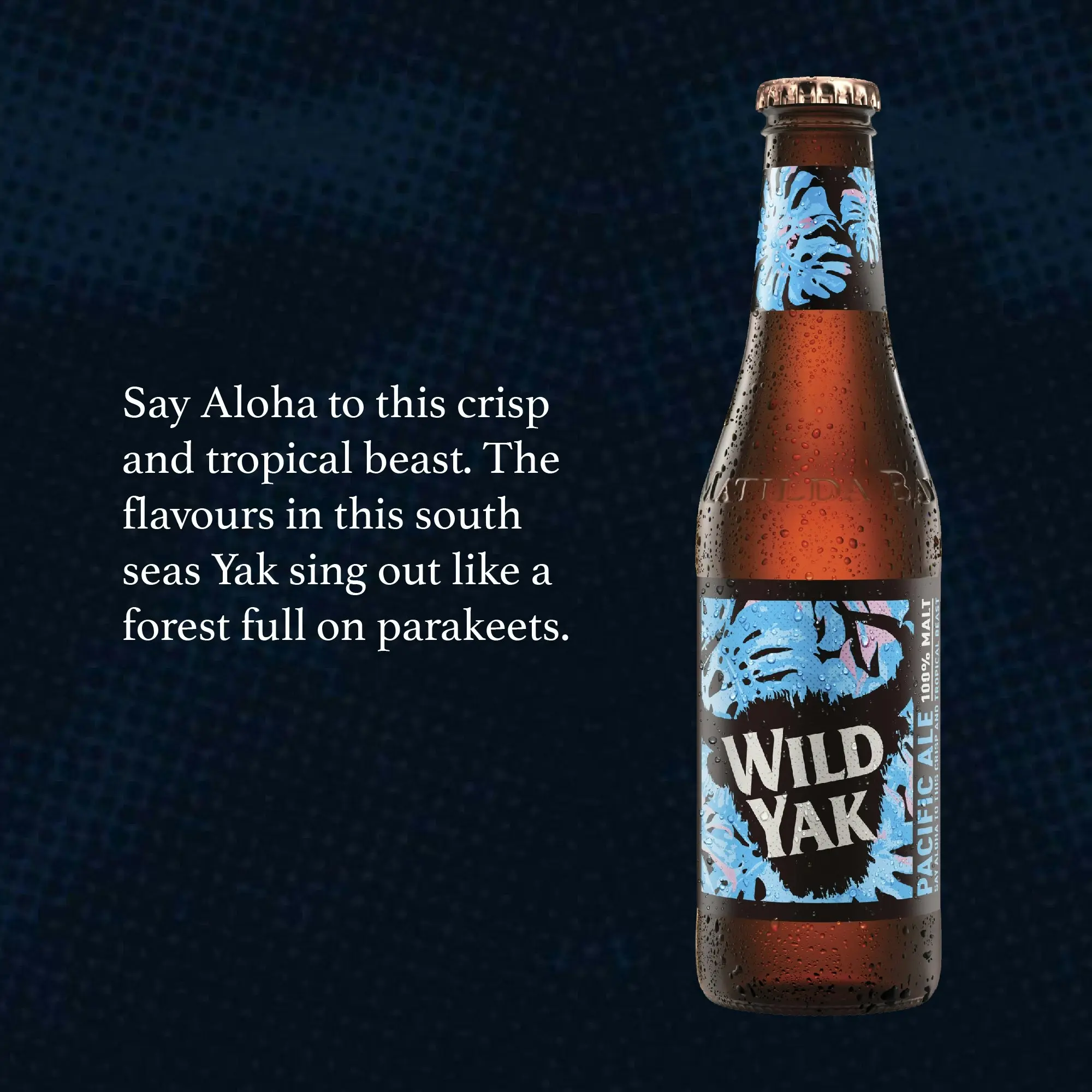 Wild Yak Pacific Ale Beer Case 24 x 345mL Bottles