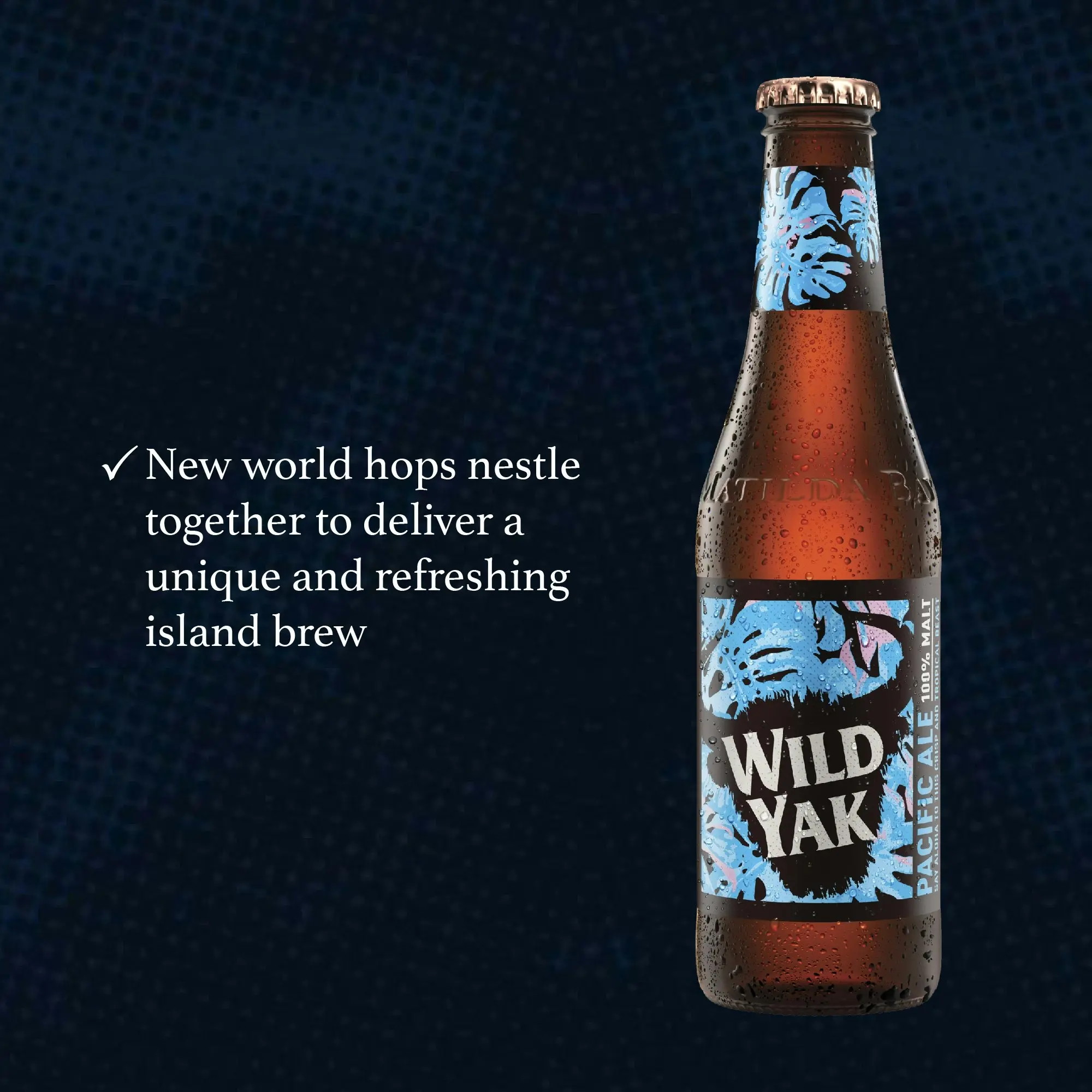 Wild Yak Pacific Ale Beer Case 24 x 345mL Bottles