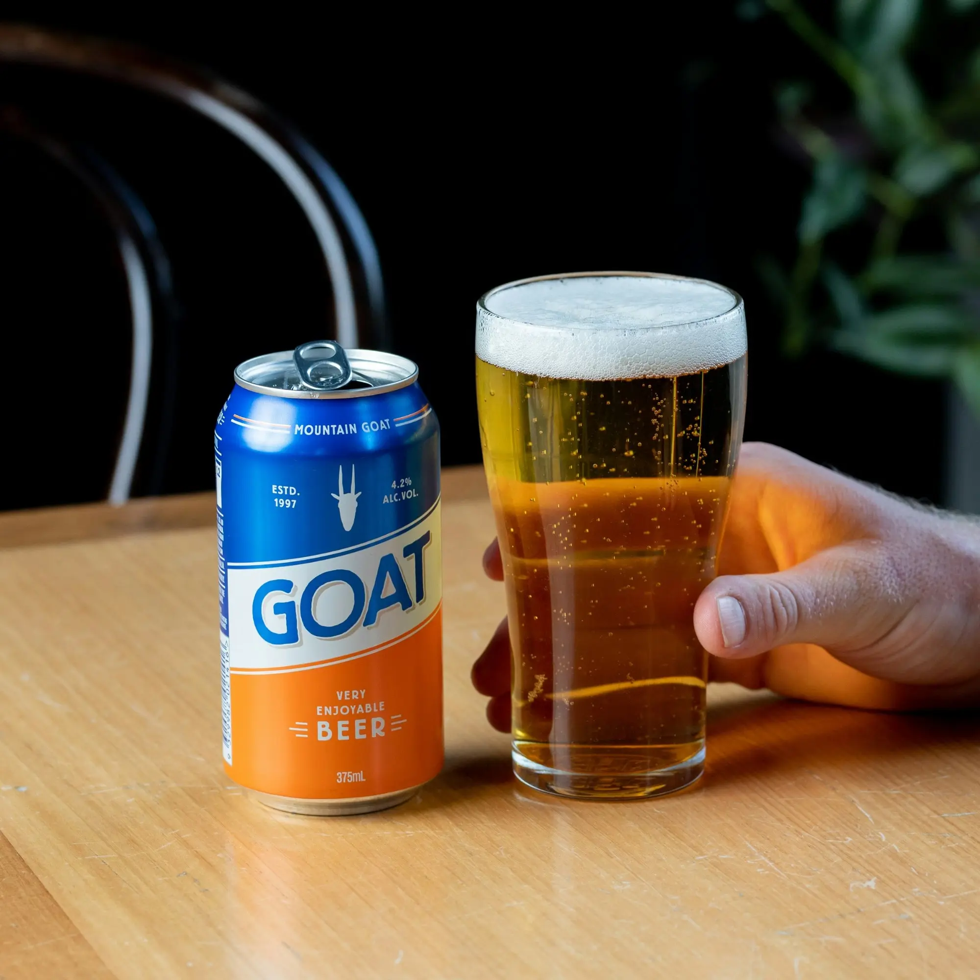 Mountain Goat 'Goat' Beer 24 x 375mL Cans