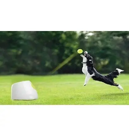 Ball Thrower Hyper Fetch Mini - All For Paws Pet Interactive Ball Toy