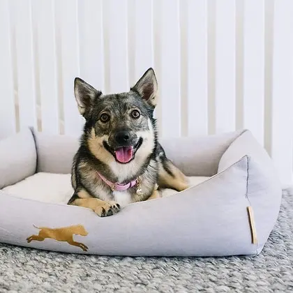 Full Memory Foam Dog & Pet Bed - Medium