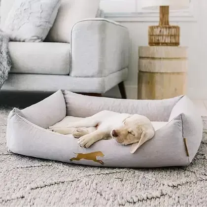 Full Memory Foam Dog & Pet Bed - Medium