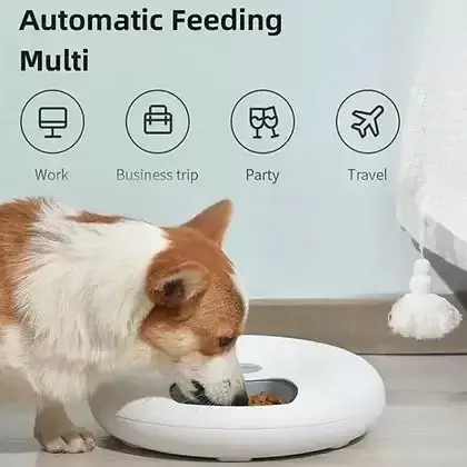 Pet Feeder and Automatic Water Fountain